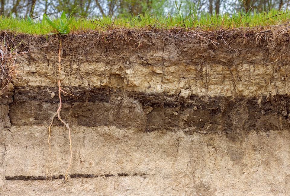 soil waste classification